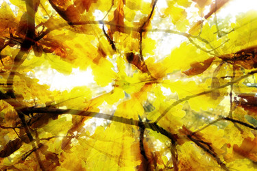 Similar image 389619