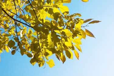 Similar image 389620