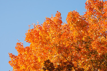 Similar image 389623