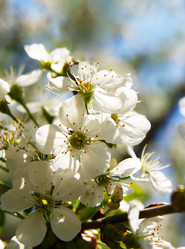 Similar image 389652