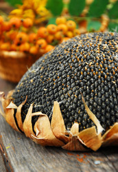 Similar image 389766