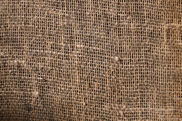 Similar image 389782