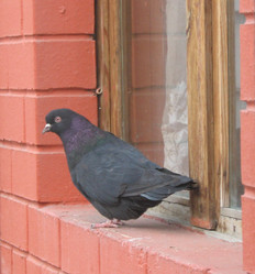 Similar image 389785