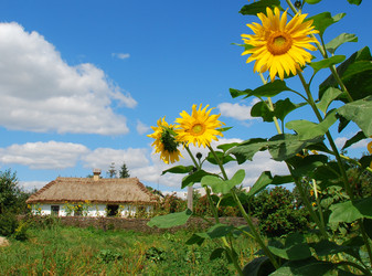 Similar image 389815