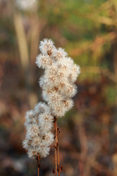 Similar image 389825