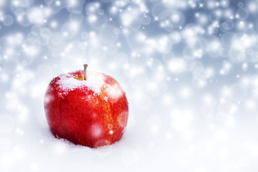 Similar image 389847