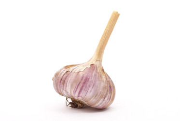 Similar image 389931