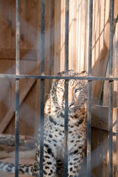 Similar image 389940