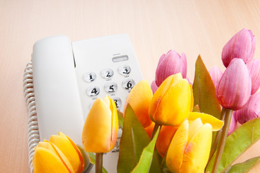 Similar image 390126