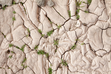 Similar image 390143