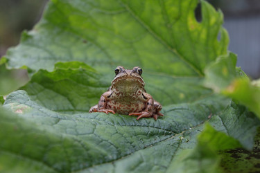 Similar image 390159