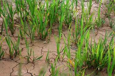 Similar image 390171