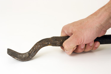 Similar image 390202