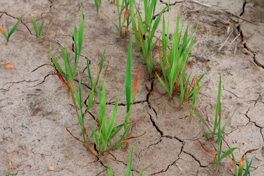 Similar image 390205