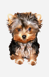 Similar image 390259