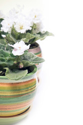 Similar image 390268