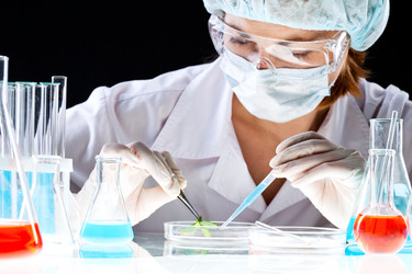 Similar image 390274