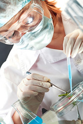 Similar image 390275