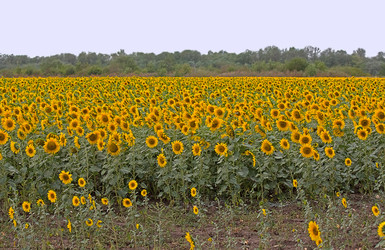 Similar image 390379