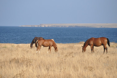 Similar image 390395