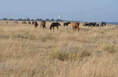 Similar image 390398