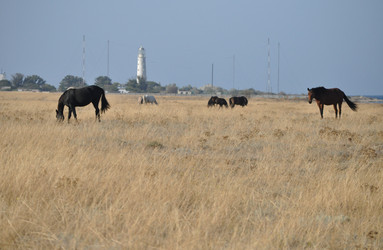 Similar image 390400