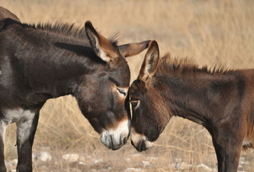 Similar image 390403