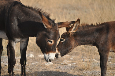 Similar image 390404