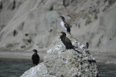 Similar image 390406