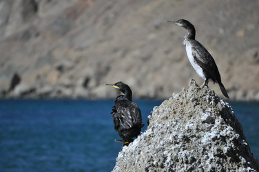 Similar image 390408