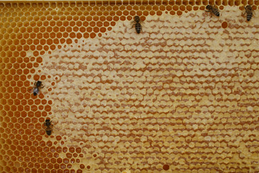 Similar image 390540