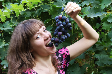 Similar image 390613