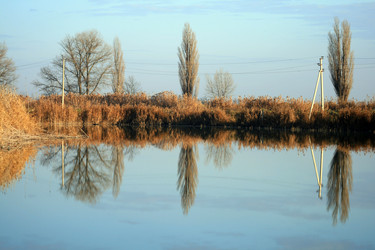 Similar image 390629