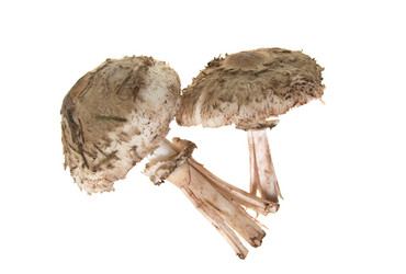 Similar image 390645