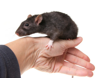 Similar image 390669