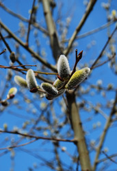 Similar image 390685