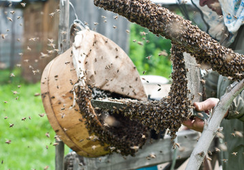 Similar image 390769