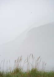 Similar image 390805