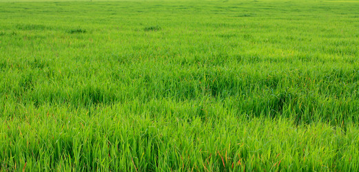 Similar image 390962