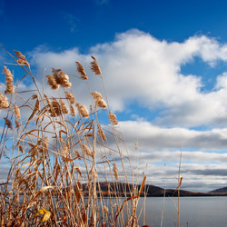 Similar image 391145