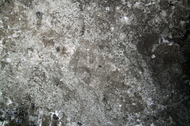 Similar image 391154