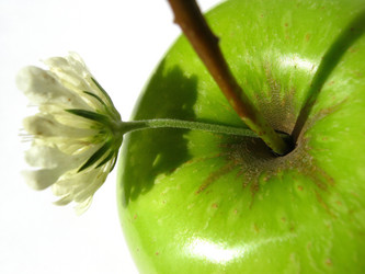 Similar image 391175