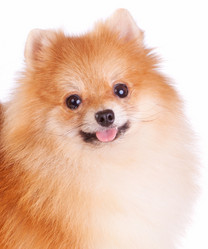 Similar image 391213