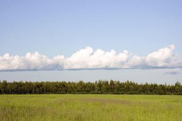 Similar image 391252