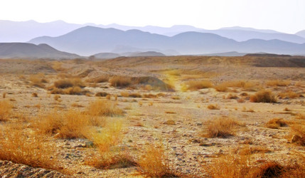 Similar image 391255