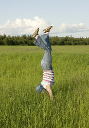 Similar image 391260