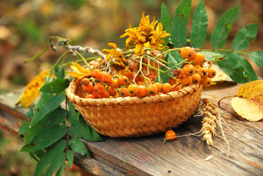 Similar image 391263