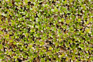 Similar image 391274