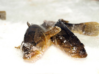 Similar image 391279