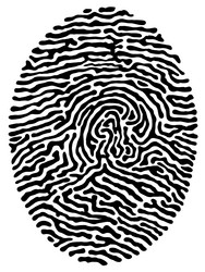 Similar image 391282